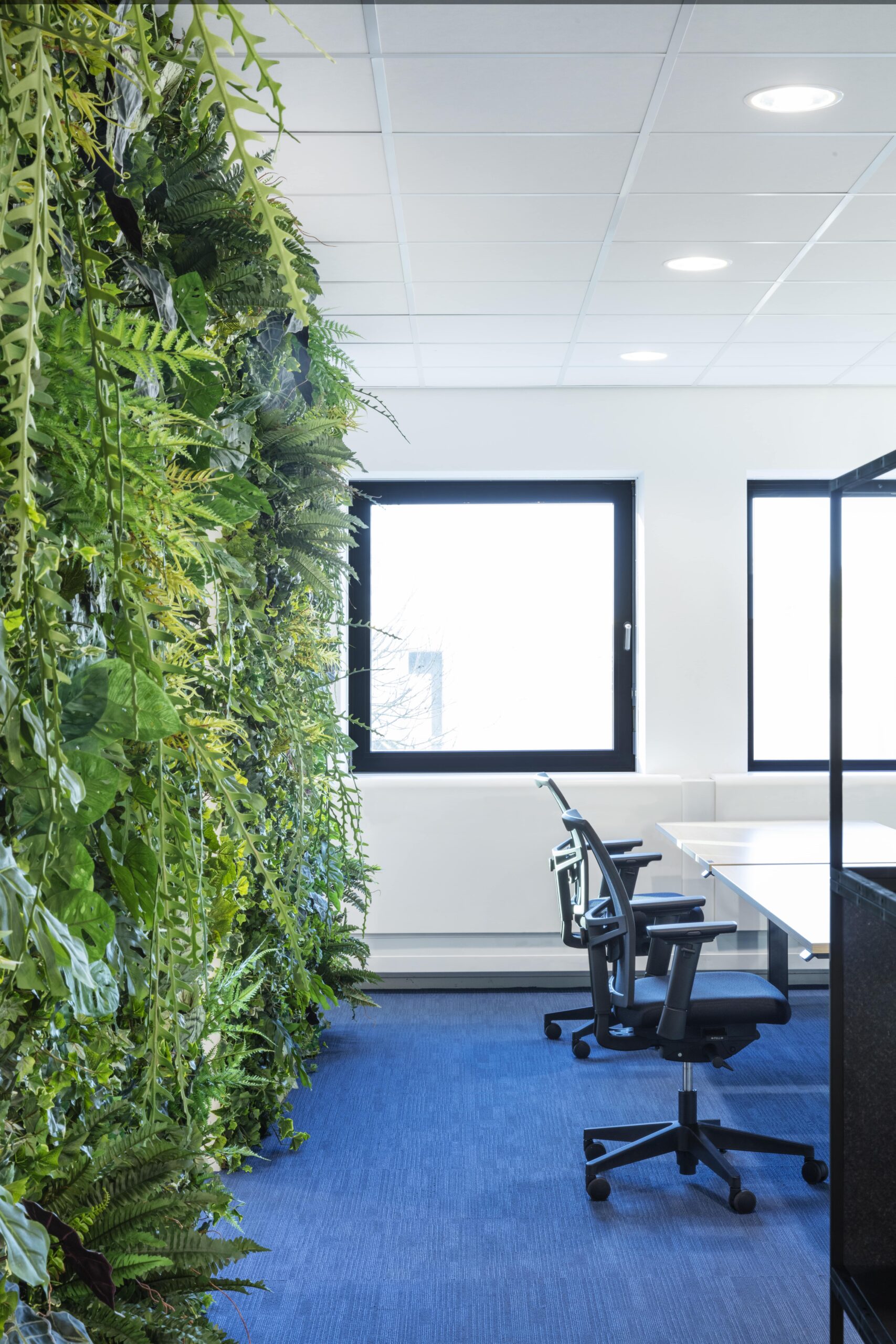 Bluefield, turnkey project