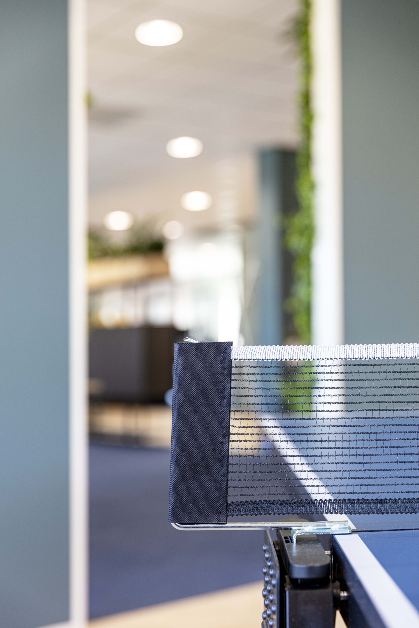 Bluefield, turnkey project